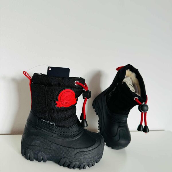 Sniego batai su vilna